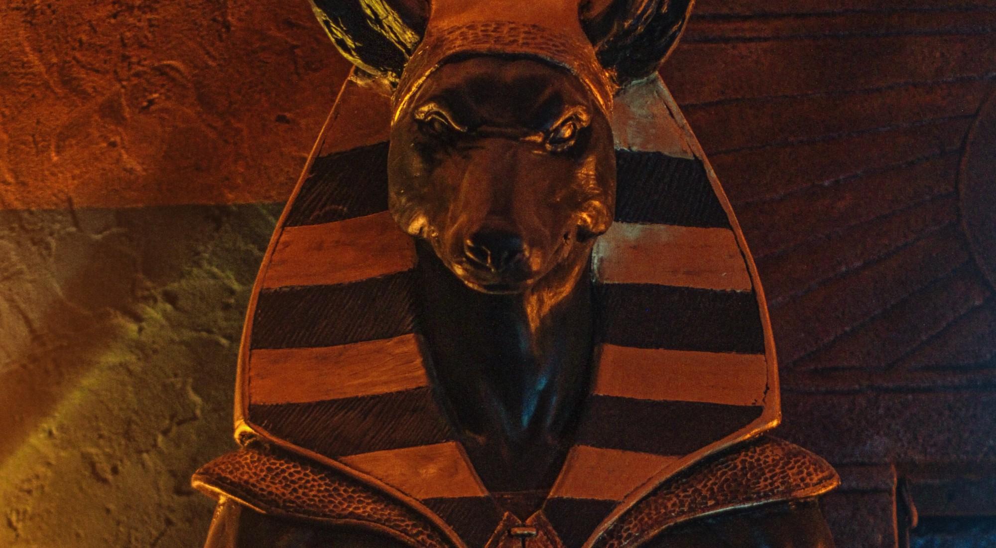 Квест Пропавшая экспедиция: амулет фараона в Рязани фото 1